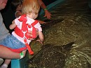 first family vacation-june 068